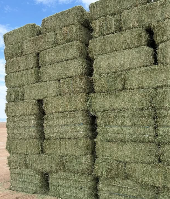 Hay bales